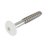 Fassadenschrauben Edelstahl 4,8 x 38 mm