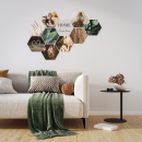 PLEXIGLAS® Platte farblos transparent