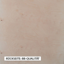 18mm Buche Multiplex Platte B/BB IF20 nach Maß