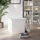 Hocker als Box | abnehmbarer Deckel | Überstand