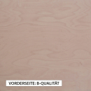 Materialmuster Buchensperrholz gute Qualität B/BB