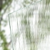 Muster Listral blank weiß Ornamentglas Float